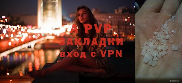 дмт Белокуриха