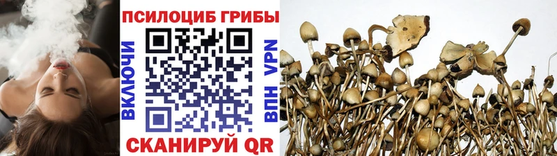 KRAKEN ТОР  Окуловка  Псилоцибиновые грибы MAGIC MUSHROOMS 