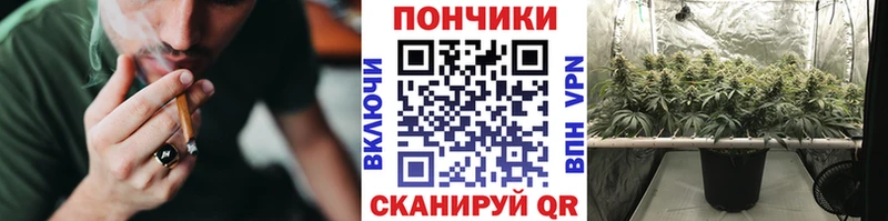 Бошки Шишки семена Окуловка
